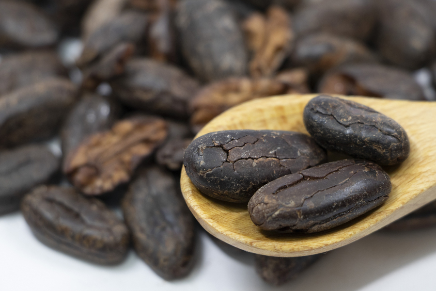 カカオ豆